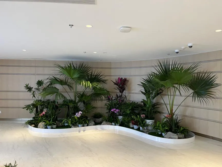 想找奉化好的盆景租赁？这几家千万别错过！